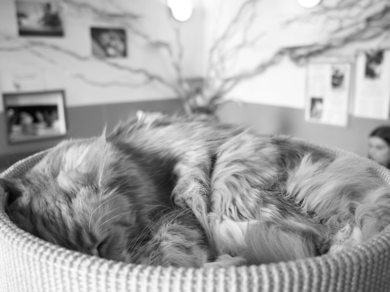 592 :: Sleep